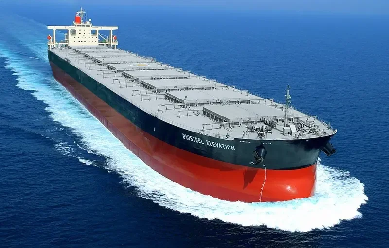BAOSTEEL ELEVATION Bulk Carrier IMO 9406453 photo 5