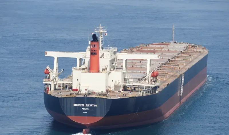 BAOSTEEL ELEVATION Bulk Carrier IMO 9406453 photo 6