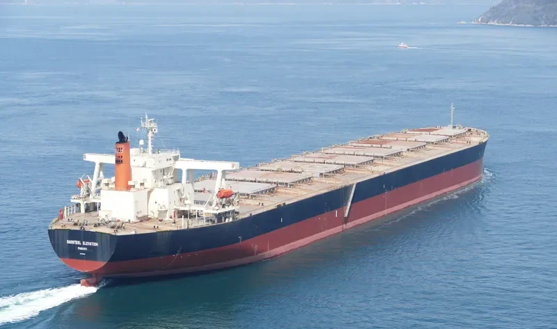 BAOSTEEL ELEVATION Bulk Carrier IMO 9406453 photo 7