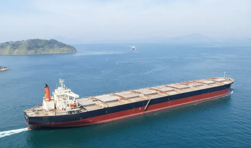 BAOSTEEL ELEVATION Bulk Carrier IMO 9406453 photo 8