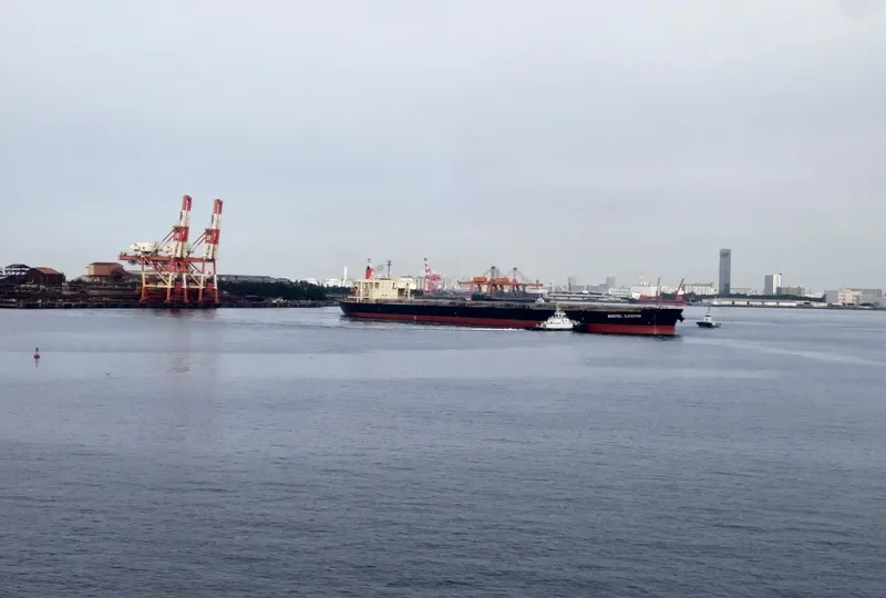 BAOSTEEL ELEVATION Bulk Carrier IMO 9406453 photo 10