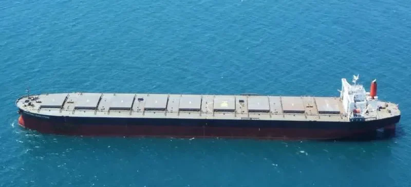 BAOSTEEL EVOLUTION Bulk Carrier IMO 9406477