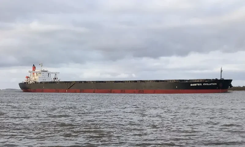 BAOSTEEL EVOLUTION Bulk Carrier IMO 9406477 photo 5