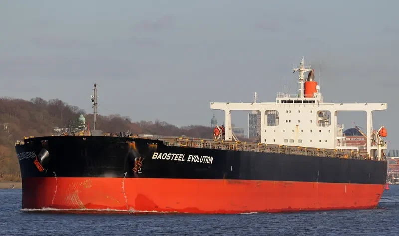 BAOSTEEL EVOLUTION Bulk Carrier IMO 9406477 photo 6