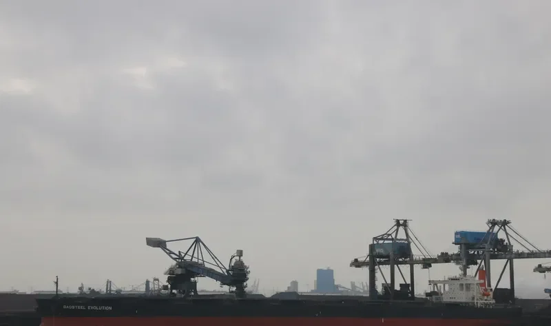 BAOSTEEL EVOLUTION Bulk Carrier IMO 9406477 photo 9