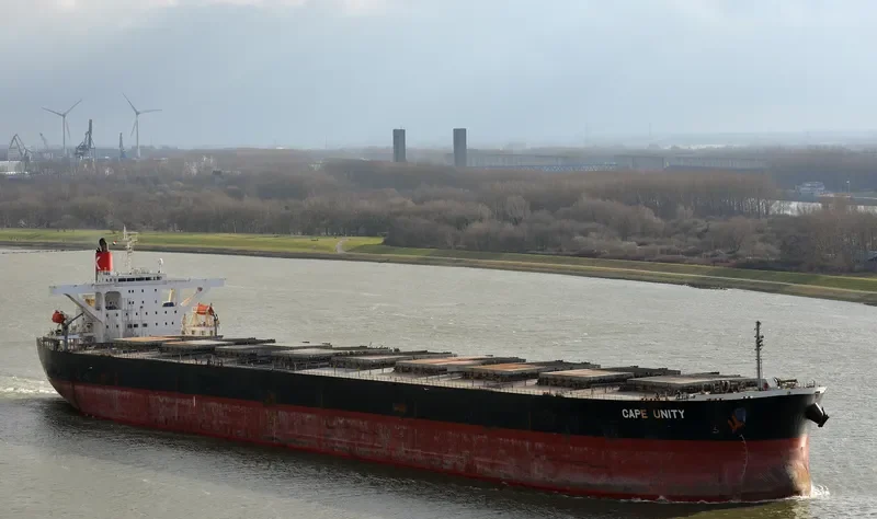 CAPE UNITY Bulk Carrier IMO 9406489