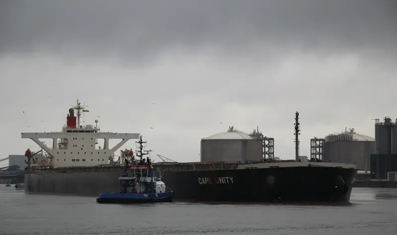 CAPE UNITY Bulk Carrier IMO 9406489 photo 5