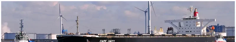 CAPE UNITY Bulk Carrier IMO 9406489 photo 9