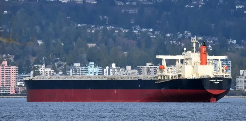 SPRING BRAVE Bulk Carrier IMO 9406506