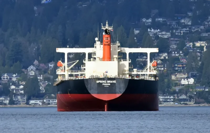 SPRING BRAVE Bulk Carrier IMO 9406506 photo 2