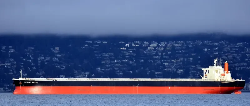 SPRING BRAVE Bulk Carrier IMO 9406506 photo 3