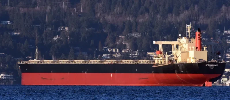 SPRING BRAVE Bulk Carrier IMO 9406506 photo 4