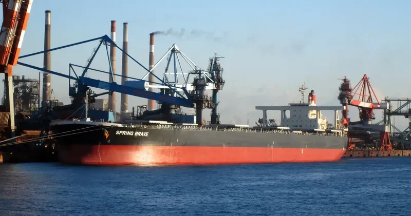 SPRING BRAVE Bulk Carrier IMO 9406506 photo 6