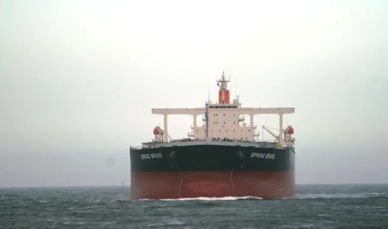 SPRING BRAVE Bulk Carrier IMO 9406506 photo 8