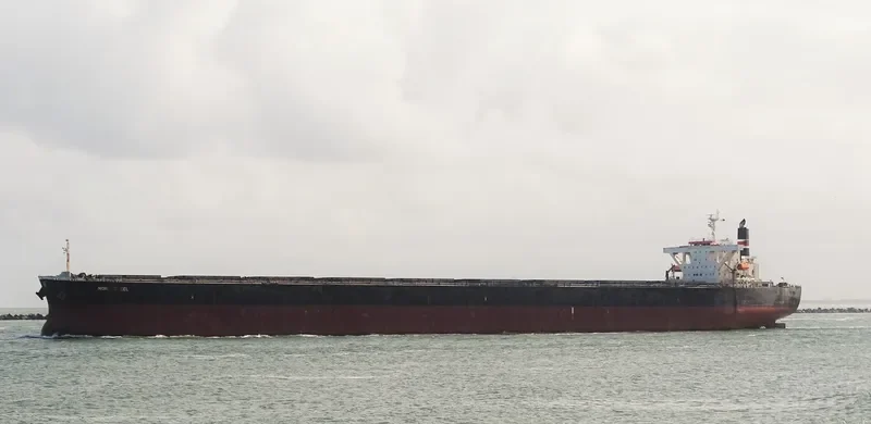 ART Bulk Carrier IMO 9406518