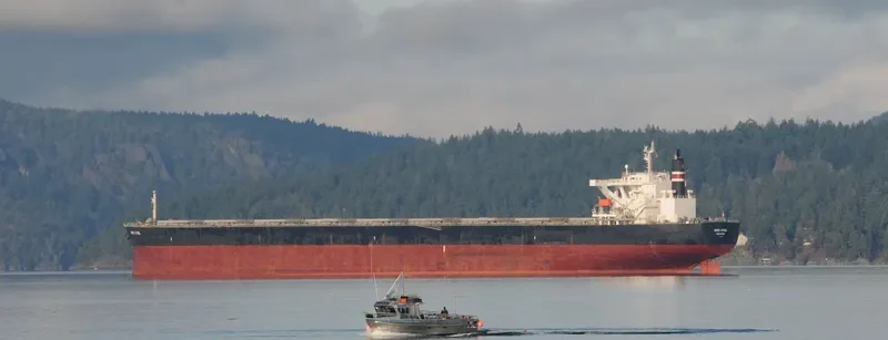ART Bulk Carrier IMO 9406518 photo 3