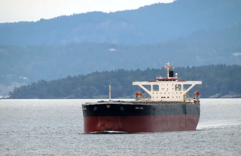 ART Bulk Carrier IMO 9406518 photo 4