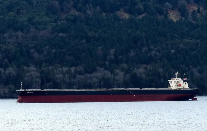 ART Bulk Carrier IMO 9406518 photo 6