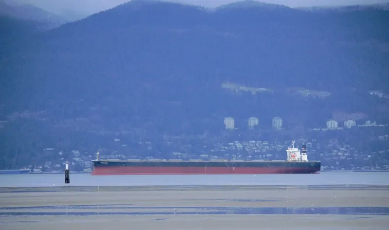 ART Bulk Carrier IMO 9406518 photo 9
