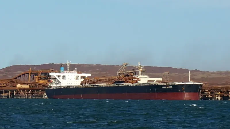 WINNING ZEPHYR Bulk Carrier IMO 9406520