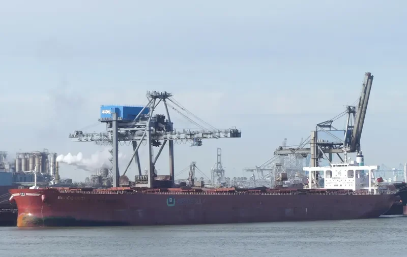 BERGE ODEL Bulk Carrier IMO 9406544 photo 3