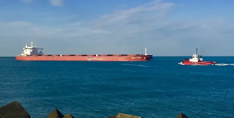 BERGE ODEL Bulk Carrier IMO 9406544 photo 5