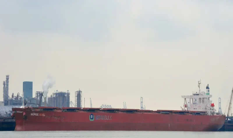 BERGE ODEL Bulk Carrier IMO 9406544 photo 7