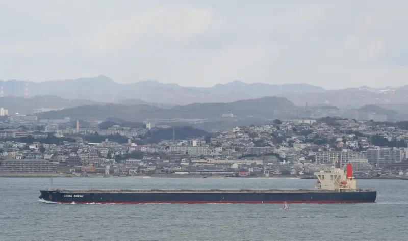 BEI JI STAR Bulk Carrier IMO 9406556 photo 8