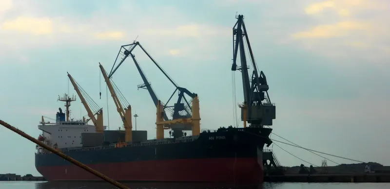 AN PING Bulk Carrier IMO 9406805 photo 6
