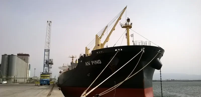 AN PING Bulk Carrier IMO 9406805 photo 7
