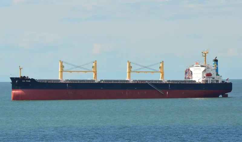 AN PING Bulk Carrier IMO 9406805 photo 9