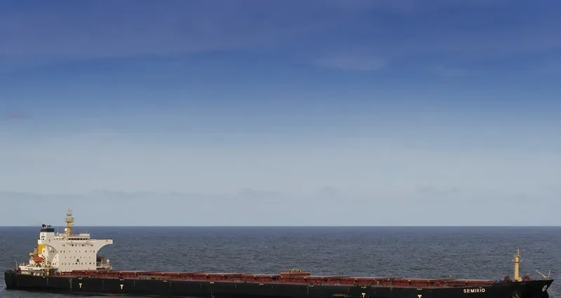 SEMIRIO Bulk Carrier IMO 9406893