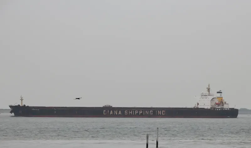 SEMIRIO Bulk Carrier IMO 9406893 photo 6