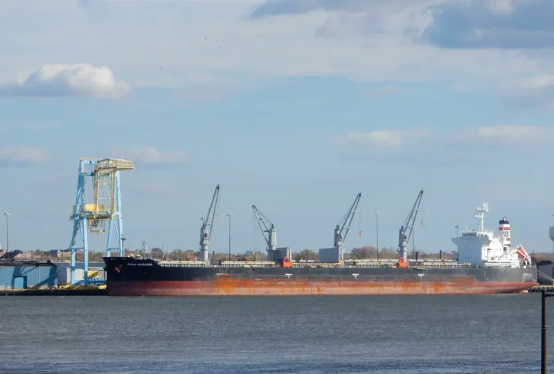 ANNA BARBARA Bulk Carrier IMO 9407500 photo 7