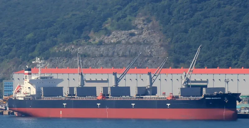 ANNA BARBARA Bulk Carrier IMO 9407500 photo 8