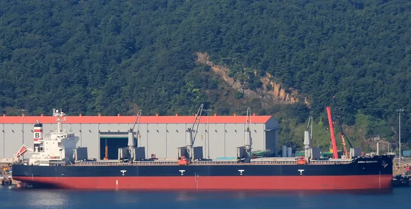 ANNA BARBARA Bulk Carrier IMO 9407500 photo 9