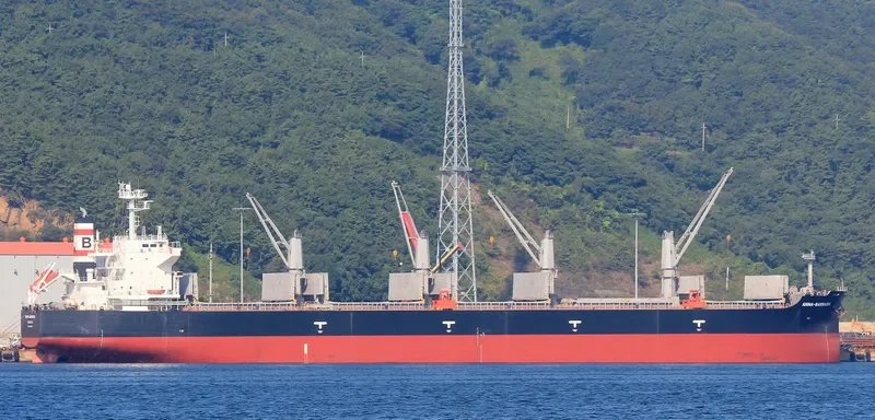 ANNA BARBARA Bulk Carrier IMO 9407500 photo 10