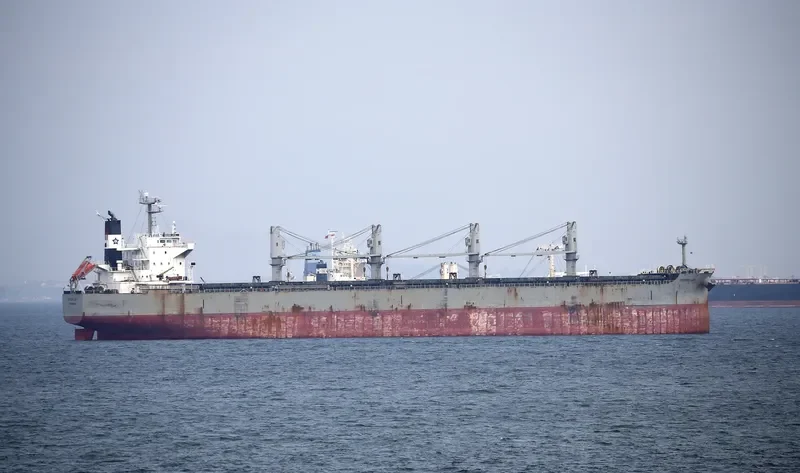 PPS LUCK Bulk Carrier IMO 9407524