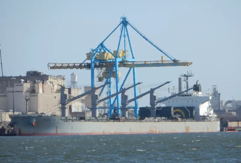 PPS LUCK Bulk Carrier IMO 9407524 photo 3