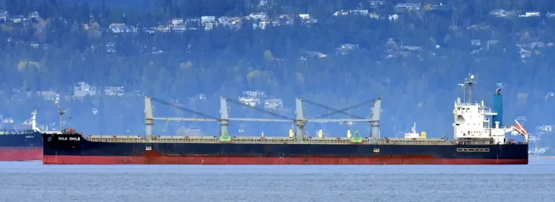 KHADEEJAH JAHAN II Bulk Carrier IMO 9407536 photo 4