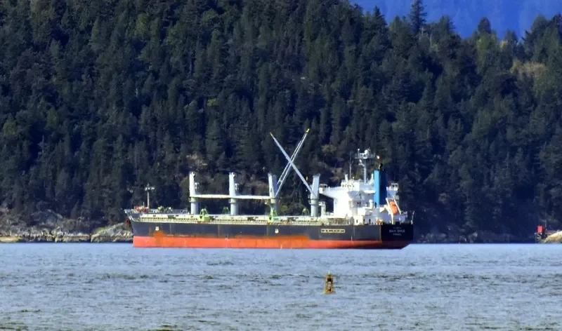 KHADEEJAH JAHAN II Bulk Carrier IMO 9407536 photo 6