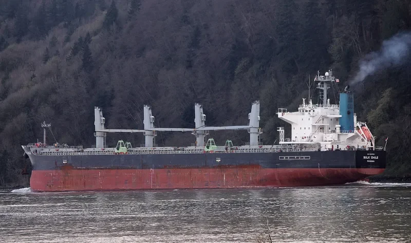KHADEEJAH JAHAN II Bulk Carrier IMO 9407536 photo 8