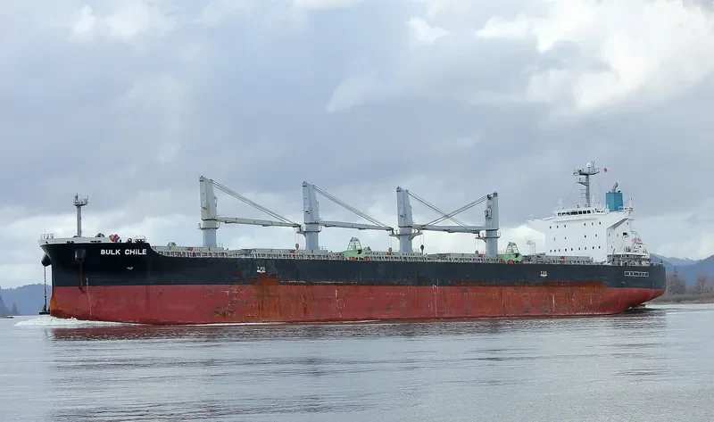 KHADEEJAH JAHAN II Bulk Carrier IMO 9407536 photo 10