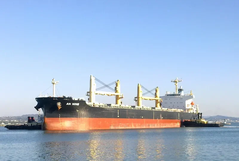 XIN AN NING Bulk Carrier IMO 9407859 photo 5