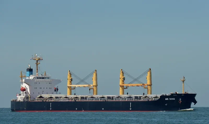 XIN AN NING Bulk Carrier IMO 9407859 photo 8