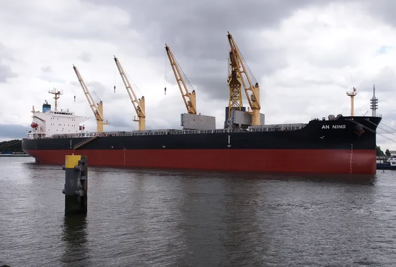 XIN AN NING Bulk Carrier IMO 9407859 photo 9