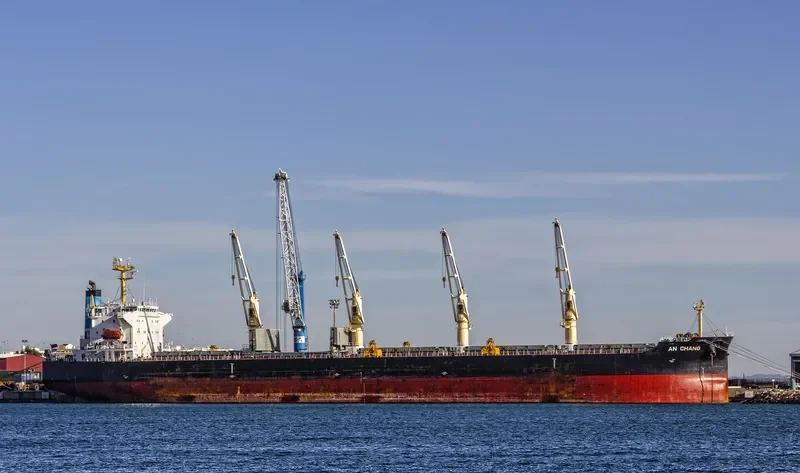 AN CHANG Bulk Carrier IMO 9407861 photo 6