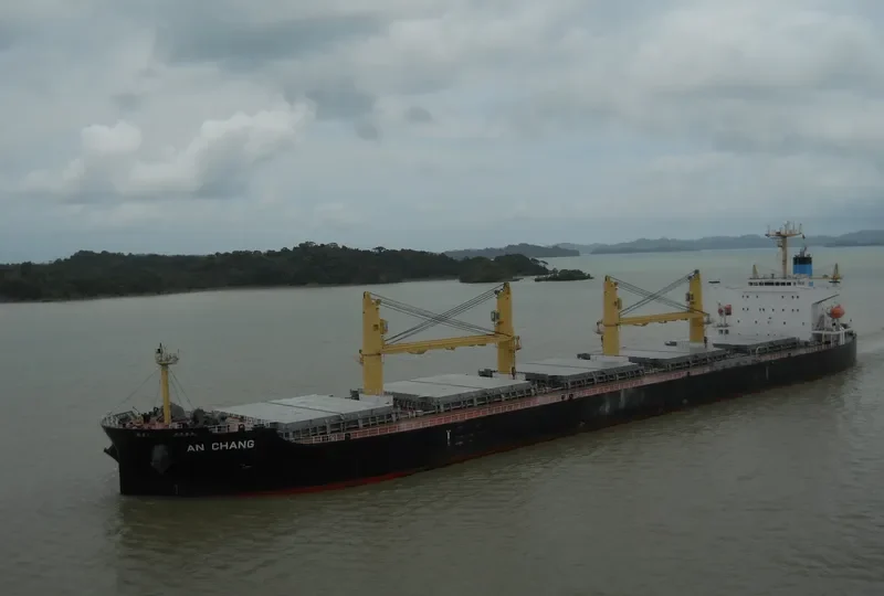 AN CHANG Bulk Carrier IMO 9407861 photo 8