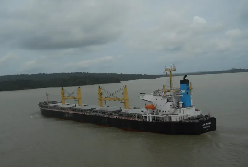 AN CHANG Bulk Carrier IMO 9407861 photo 9