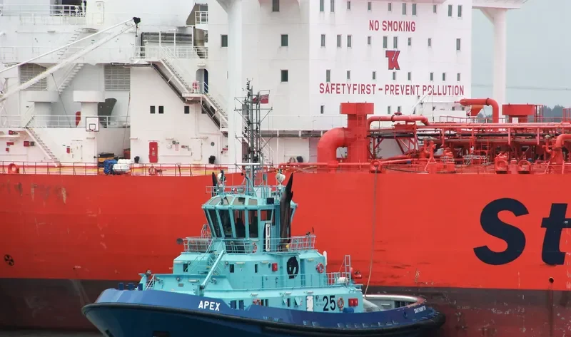 APEX General Cargo IMO 9408035 photo 3